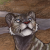 Fluffy Leopon [Wh...